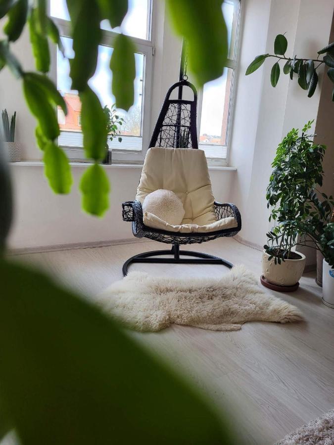 Cozy 2 Room Apartment In The Oldtown Of Klaipėda Exteriör bild